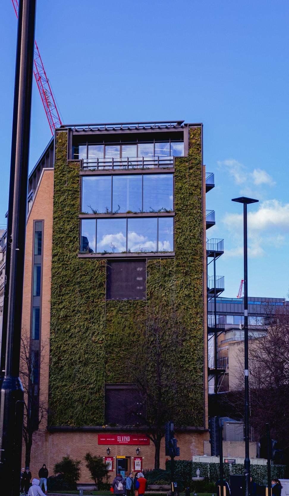 Green Building Consultation